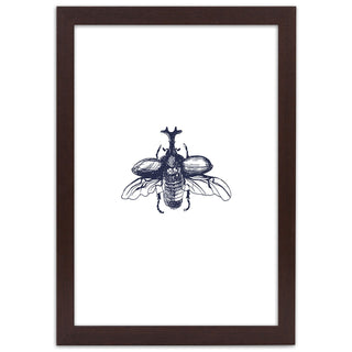 Flying beetle - Framed print