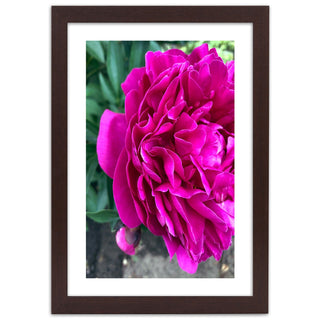 Print Pink big flower