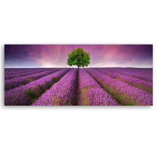 Painting on canvas, Lavender field