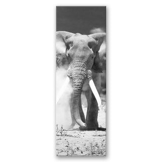 Painting on canvas, Elephant