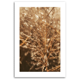 Painting on canvas, Grasses