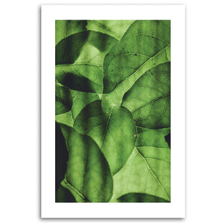 Painting on canvas, Green leaves